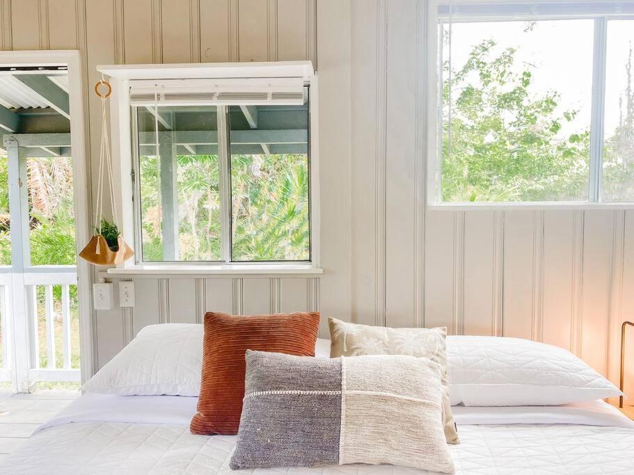 Keaau Monstera Bungalow, Spacious, King Bed, Big Kitchen מראה חיצוני תמונה