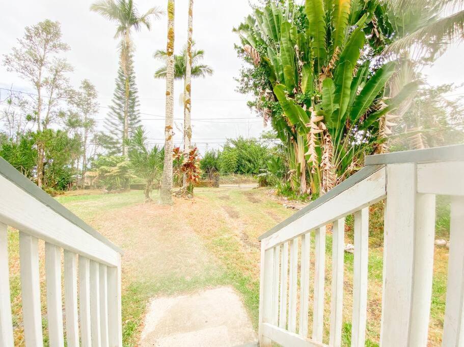 Keaau Monstera Bungalow, Spacious, King Bed, Big Kitchen מראה חיצוני תמונה